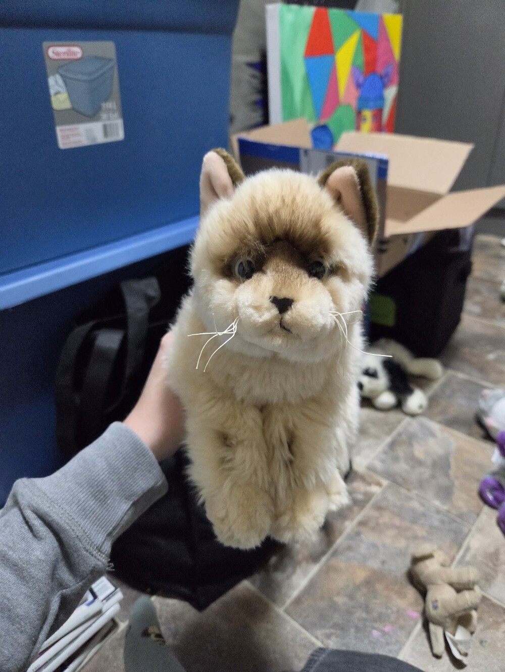 Ganz Webkinz Signature Rag Doll Cat Plush Cat Toy - Beige Faux Fur Cat Plush